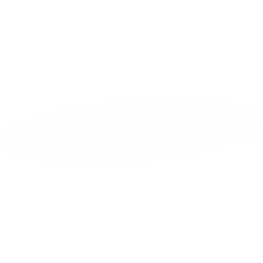 100% JESUS
